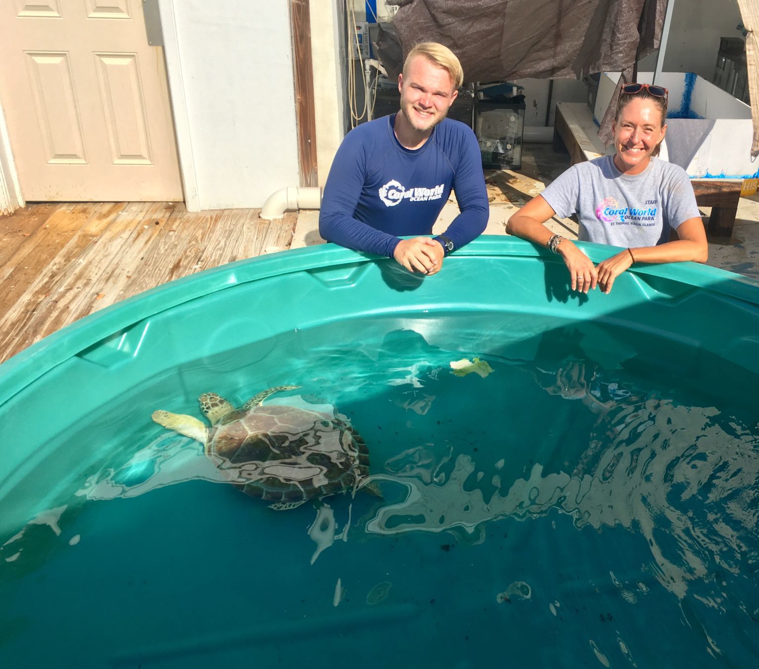 Happy ending to turtle rescue